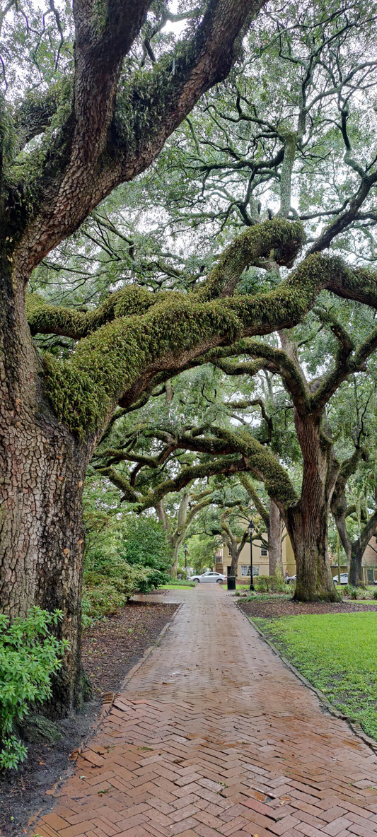 Chatham Square is a perfect place to elope to Savannah