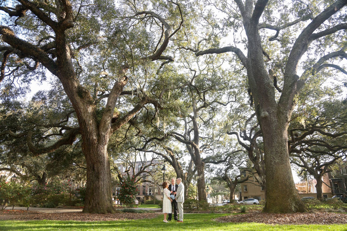 Couple eloping under the giant trees in Chatham Square in Savannah